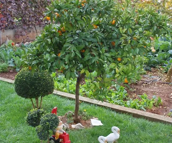 By The Sea Bibinje, Zadar - 5866 Bibinje